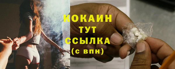 твердый Иннополис