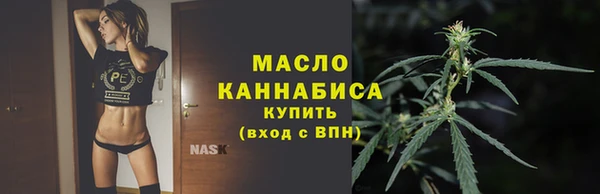 Альфа ПВП Инсар