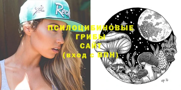 мдма Инта