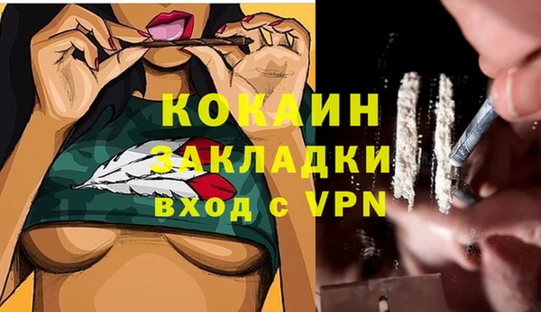 твердый Иннополис