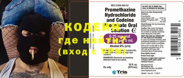твердый Иннополис