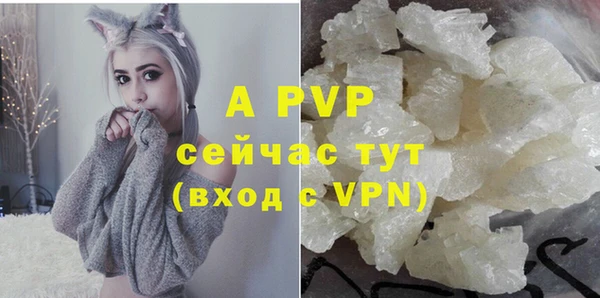 твердый Иннополис